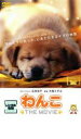 【バーゲンセール】【中古】DVD▼わんこ THE MOVIE レンタル落ち