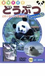 【バーゲンセール】【中古】DVD▼どうぶつスペシャル50