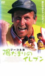 【中古】DVD▼陽だまりのイレブン レンタル落ち