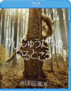 【バーゲンセール】【中古】Blu-ray▼かいじゅうたちのいるところ ブルーレイディスク レンタル落ち