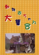 &nbsp;品　番&nbsp;GPM008D&nbsp;出　演&nbsp;神園さやか／川原弓奈／川原安子／斉藤ゆり&nbsp;制作年、時間&nbsp;2004年&nbsp;30分&nbsp;製作国&nbsp;日本&nbsp;メーカー等&nbsp;日本ソフトサービス&nbsp;ジャンル&nbsp;趣味、実用／動物&nbsp;カテゴリー&nbsp;DVD&nbsp;入荷日&nbsp;【2020-08-26】【あらすじ】ライオン、トナカイ、ラッコ、オランウータンetcからコウノトリまで全シリーズで64種類もの赤ちゃんが大集合！本作は「めずらしいサル」を収録。
