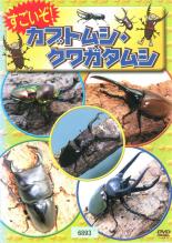 【中古 DVD】▼すごいぞ！カブトムシ・クワガタムシ▽レンタル落ち