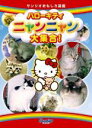 【バーゲンセール】【中古】DVD▼ハローキティ ニャンニャン大集合! レンタル落ち