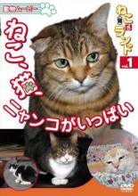 【バーゲンセール】【中古】DVD▼動物ムービー ねこ 猫 ざ ランド 1 ねこ、猫、ニャンコがいっぱい レン..