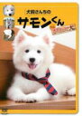 【バーゲンセール】【中古】DVD▼犬飼さんちのサモンくん from 犬飼さんちの犬 レンタル落ち
