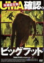 【バーゲンセール】【中古】DVD▼ビッグフット UMA確認。 字幕のみ レンタル落ち