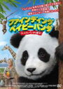 【バーゲンセール】【中古】DVD▼ファインディング ベイビー パンダ くしゃみパンダを探せ! レンタル落ち