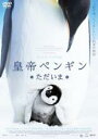 【バーゲンセール】【中古】DVD▼皇帝ペンギン ただいま レンタル落ち