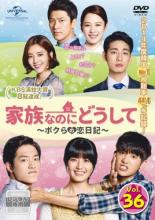 【バーゲンセール】【中古】DVD▼家族なのにどうして ボクらの恋日記 36(第69話) 字幕のみ レンタル落ち