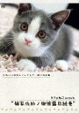 【バーゲンセール】【中古】DVD▼カフェねこonDVD 猫家佐助ノ御披露目絵巻