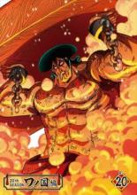 �ڥС����󥻡���ۡ���š�DVD��ONE PIECE ���ԡ��� 20th�������� ��ι��� R-20(��971�á���974��) ��󥿥����