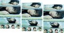 【バーゲンセール】全巻セット【送料無料】【中古】DVD▼連続ドラマW インフルエンス(3枚セット)第1話〜第5話 最終 レンタル落ち