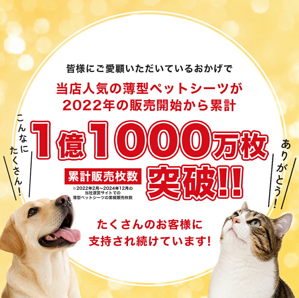 ペットシーツ 薄型 ワイド 400枚 レギュラー 800枚 スーパーワイド 200枚 トイレシーツ 大容量 まとめ買い 業務用 ペット用 ペットシート トイレシート 犬 猫 おしっこシート ペット用 ペットシート ワイドシーツ