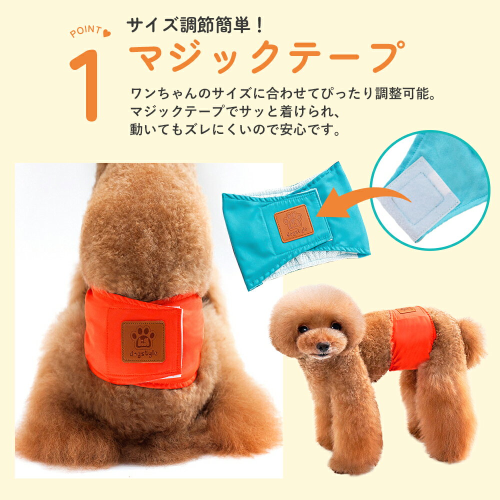 ���ѥޥʡ��٥�� ͥ���� �̵��� ���ʤ� ����ʤ� ���� ������OK ��å��� ��Ŭ ���� �ޥʡ��Х�� ����ĥ��С� ����ĥ��С� �ɥå������� �ɥå������� �ȥ��� �����å� ���� ���Ĥ� �ޡ������ɻ� ������� ���å� ���Ф��� ����