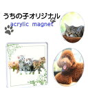 【商品レビューでプレゼント】アクリル マグネット 選べる3枚セット 名入れ 名前入り プリント オリジナル 無料で名入れ 名前入り プリント オリジナル が作れ...