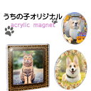 【商品レビューでプレゼント】アクリル マグネット 選べる3枚セット 名入れ 名前入り プリント オリジナル 無料で名入れ 名前入り プリント オリジナル が作れ...