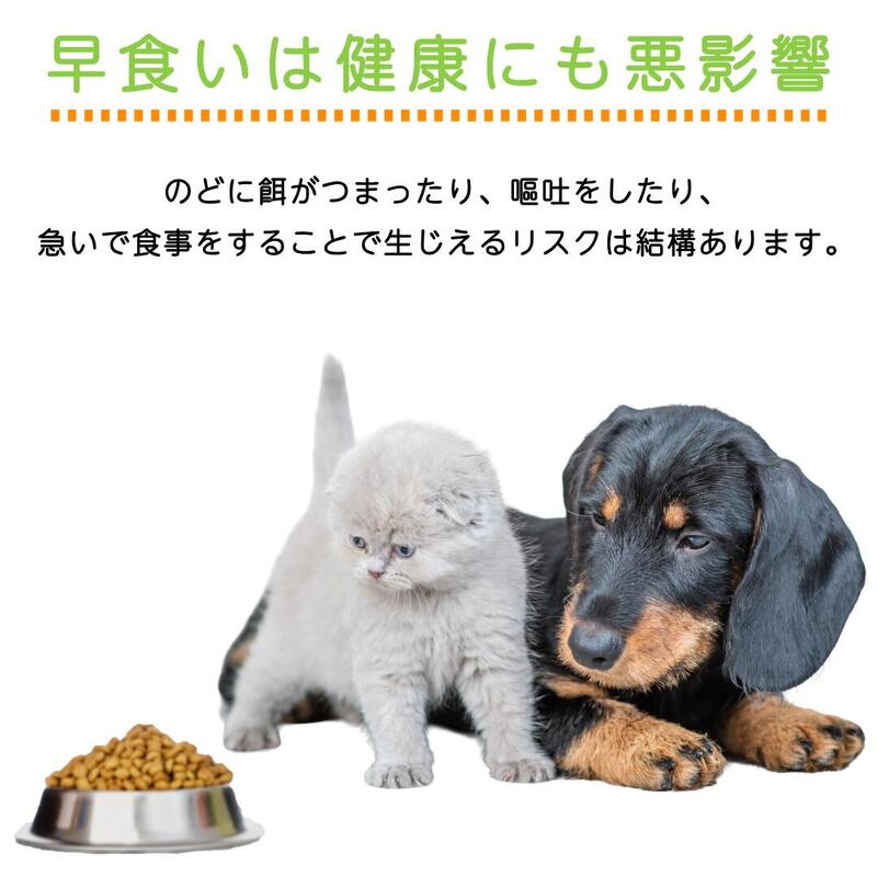 サンプル画像2