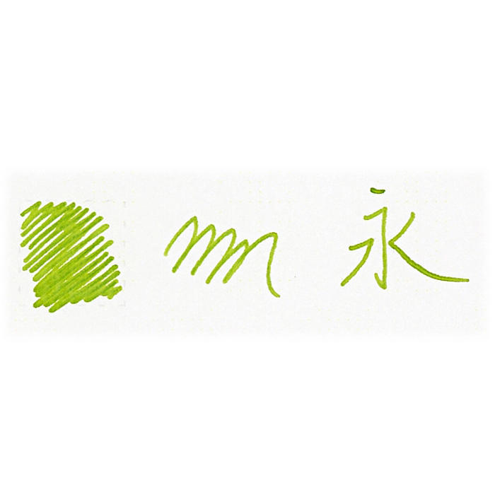 【万年筆 インク】 PILOT パイロット ボトルインク iroshizuku 色彩雫 chiku-rin 【竹林】 50ml【正規品】 kingdomnote-10022039 キングダムノート楽天市場店 サンプル画像2