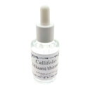L'Artisan Pastellier ラルティザン パストリエ ボトルインク カリフォリオ専用薄め液 DC30 デュリオカリフォリオ 30ml 【正規品】