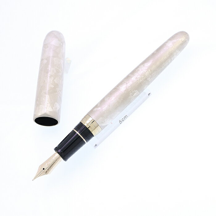 SAILOR セーラー 万年筆 伝統漆芸 畷 古美箔 彗-sui- 中字 【正規品】【smtb-f】