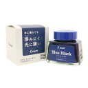 【万年筆 インク】 PILOT パイロット ボトルインク TSUWAIRO 【強色】 ブルーブラック(顔料) 30ml【正規品】