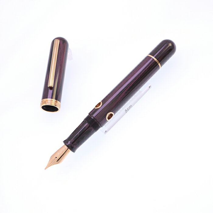 Nahvalur ナーヴァル 万年筆 ノーチラス スティロフォラ ベリー 【正規品】【smtb-f】