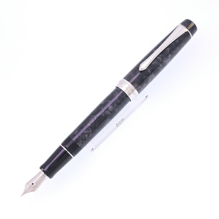 試筆のみ 1995年製 カスタム レガンス パイロット 万年筆 14金 細字