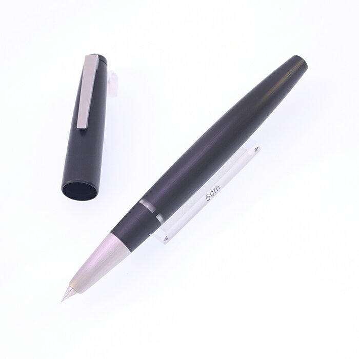 楽天市場】lamy2000 万年筆 fの通販
