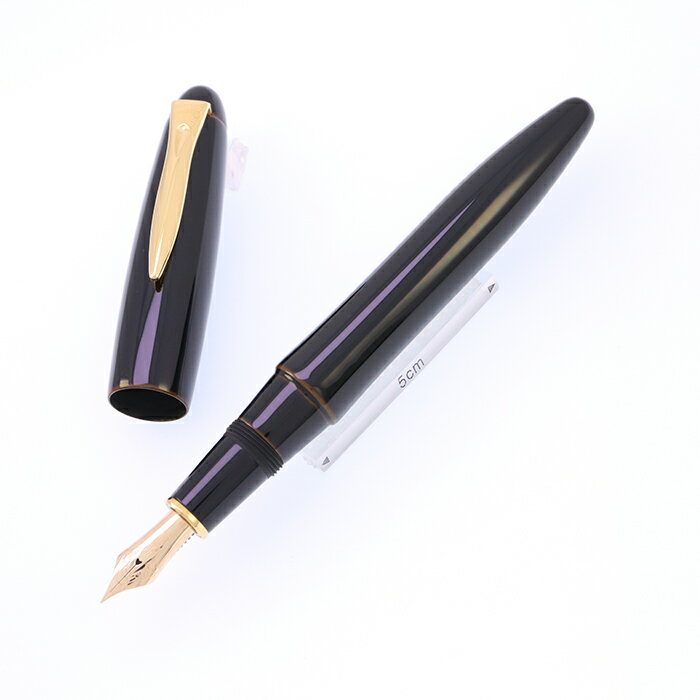 PLATINUM プラチナ 万年筆 出雲 溜塗り 枇杷溜 細字【中古-美品】【smtb-f】