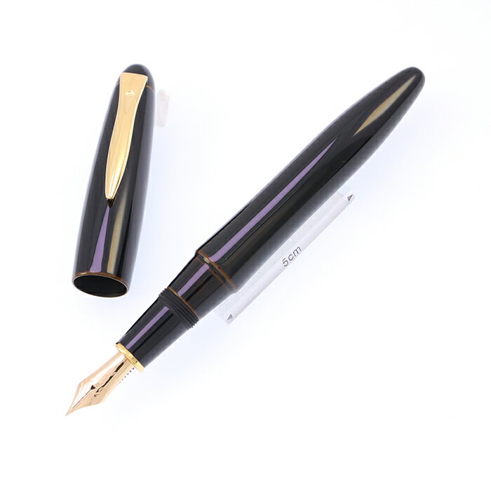 PLATINUM プラチナ 万年筆 出雲 溜塗り 枇杷溜 細字【中古-美品】【smtb-f】