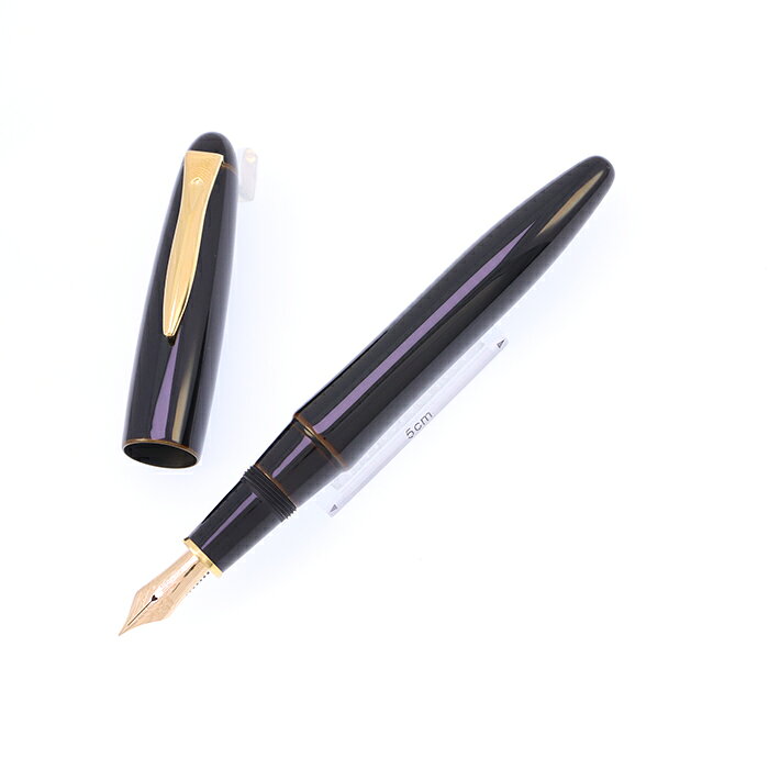 PLATINUM プラチナ 万年筆 出雲 溜塗り 枇杷溜 細字【中古-美品】【smtb-f】