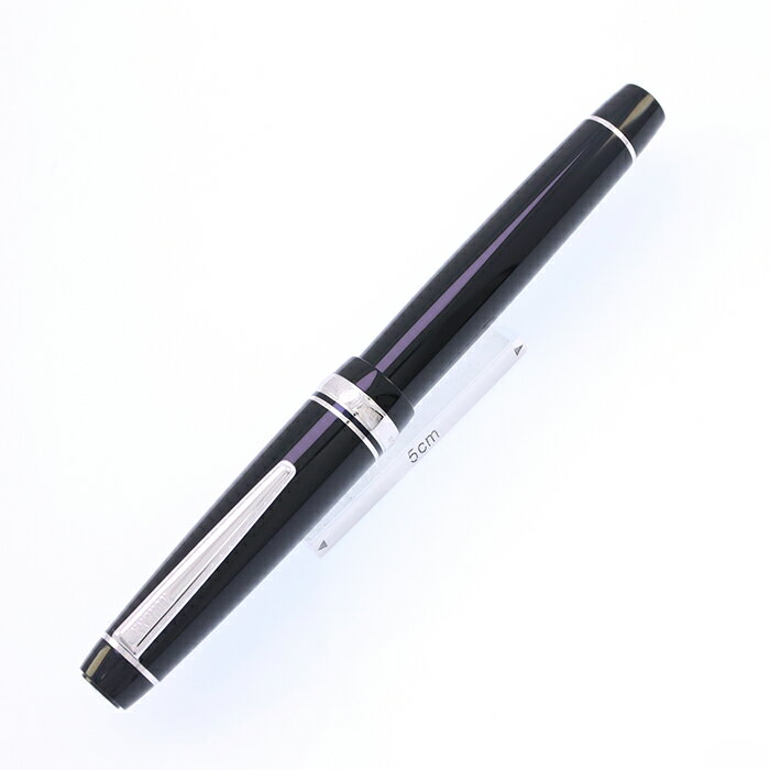 MARUZEN 丸善 万年筆 アテナ ベーシックライン シルバー 細字【中古-良品】【smtb-f】