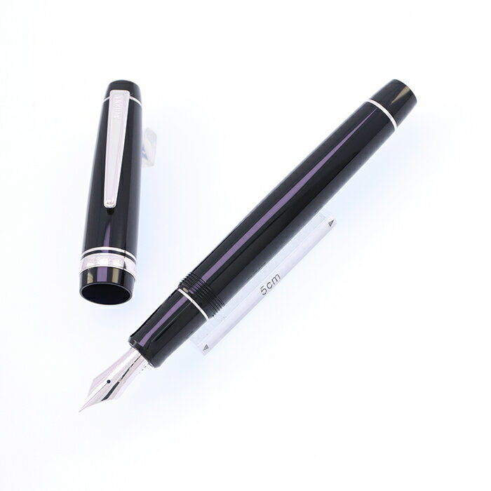 MARUZEN 丸善 万年筆 アテナ ベーシックライン シルバー 細字【中古-良品】【smtb-f】