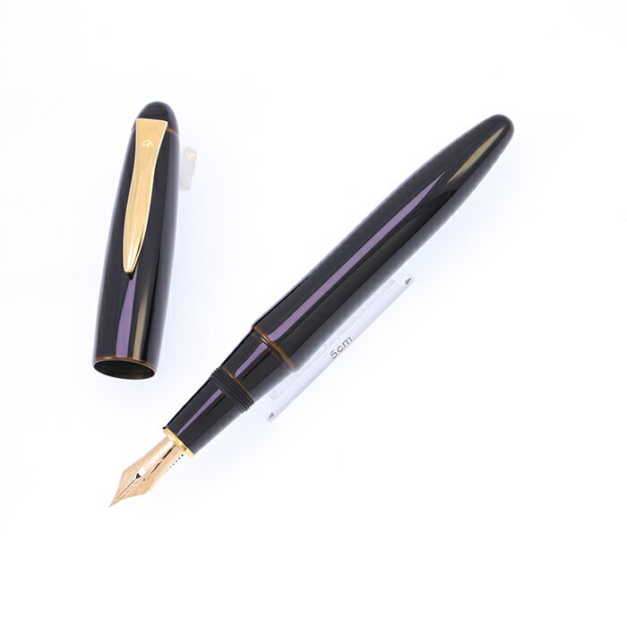 PLATINUM プラチナ 万年筆 出雲 溜塗り 枇杷溜 細字【中古-美品】【smtb-f】