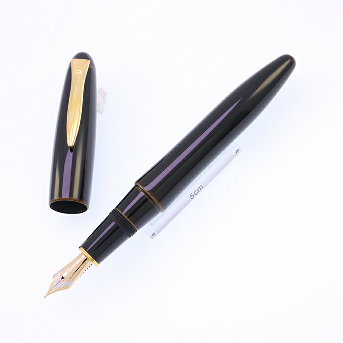 PLATINUM プラチナ 万年筆 出雲 溜塗り 枇杷溜 中字【中古-美品】【smtb-f】