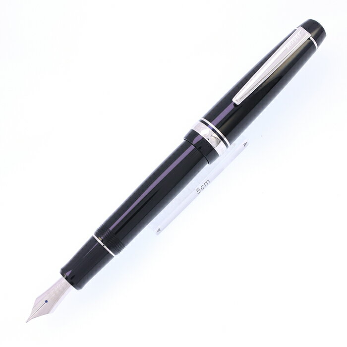 MARUZEN 丸善 万年筆 アテナ ベーシックライン シルバー 中字【中古-並品】【smtb-f】