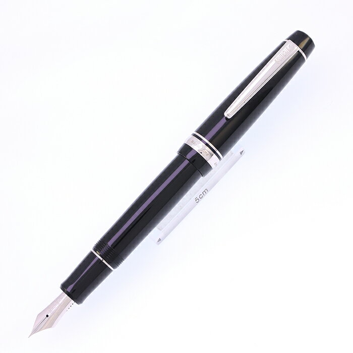 新品未使用】MARUZEN 120 万年筆 黒 詳細ページ | 万年筆