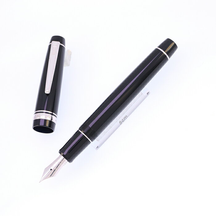 MARUZEN 丸善 万年筆 アテナ ベーシックライン シルバー 細字【中古-並品】【smtb-f】