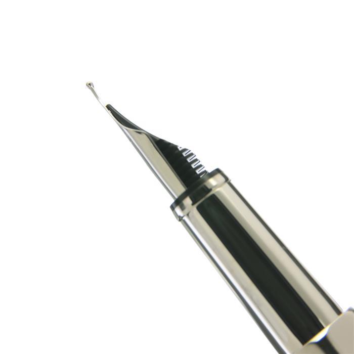 値頃 Caran d'Ache Ecridor シェブロンシルバー万年筆 ミディアム