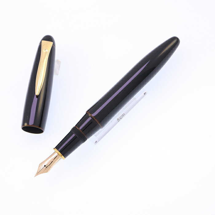 PLATINUM プラチナ 万年筆 出雲 溜塗り 枇杷溜 細字【中古-良上品】【smtb-f】