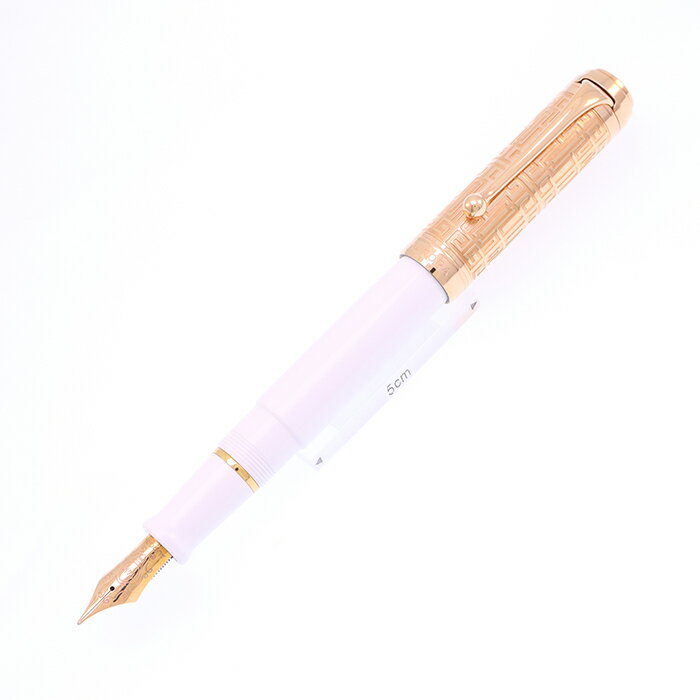 楽天市場】アウロラ 万年筆 タレンタムの通販