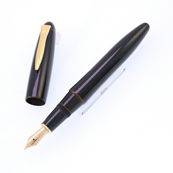 PLATINUM プラチナ 万年筆 出雲 溜塗り 枇杷溜 細字【中古-美品】【smtb-f】