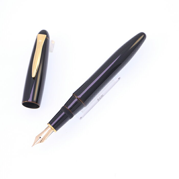 PLATINUM プラチナ 万年筆 出雲 溜塗り 枇杷溜 中字【中古-良上品】【smtb-f】