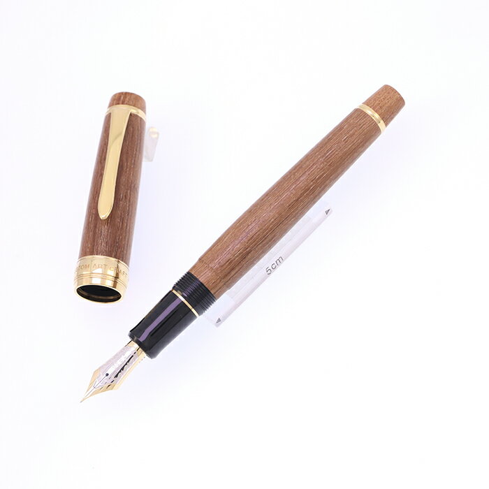 乐天商城 - PILOT パイロット 万年筆 カスタム 槐-えんじゅ- 細字【中古-良上品】【smtb-f】