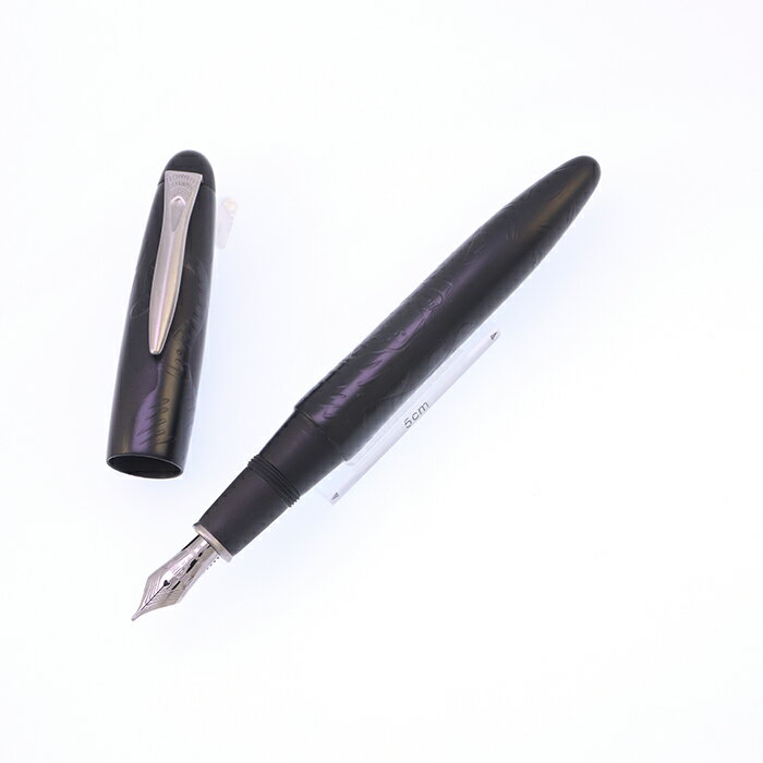 乐天商城 - PLATINUM プラチナ 万年筆 出雲 漆黒 竹林群虎図 太字【中古-美品】【smtb-f】