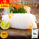 【クーポン利用で半額★2,800円】あおりいか むき身 3〜5杯入り! 新鮮 500g いか アオリイカ あおり アオリ イカそうめん 刺身 天ぷら 海鮮 美味しい 贈答品 お取り寄せ おつまみ お魚生活すすめ隊