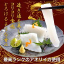 クーポン利用で50％OFF【3,580円】新鮮 いかそ～めん 200g×3パック 送料無料 いか アオリイカ あおりいか あおり アオリ いかそうめん イカそうめん 美味しい 贈答品 お取り寄せ おつまみ 簡単 お魚生活すすめ隊 レビュー高評価 いかそーめん