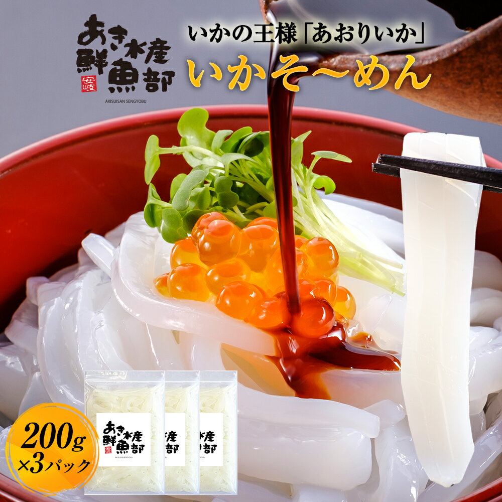 【50％OFF 7,160円→3,580円】新鮮 いか