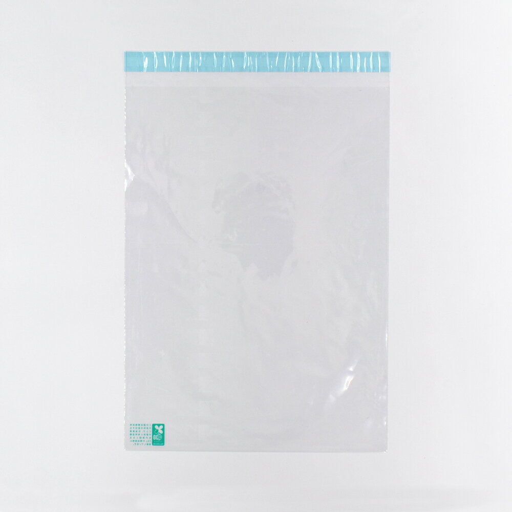 樂天商城 - フィルム封筒 A4 1,000枚 LDPE(BIO)40μ 透明/緑色eco テープ付 CHA0814 ビニール封筒 透明封筒 クリア封筒 OPP袋 角形A4号 角A4封筒 業務用 角A4 安い a4 バイオマス配合 環境に配慮