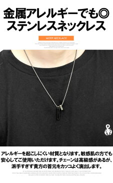 【メール便で送料無料】 ネックレス メンズ プレート チャーム 2連 チェーン レディース ユニセックス アクセ 銀 ステンレス ペンダント 人気 シンプル シルバー ゴールド ガンメタ プレゼント ギフト ペア 誕生日 男性 チョーカー プレートネックレス ワークマン プラス